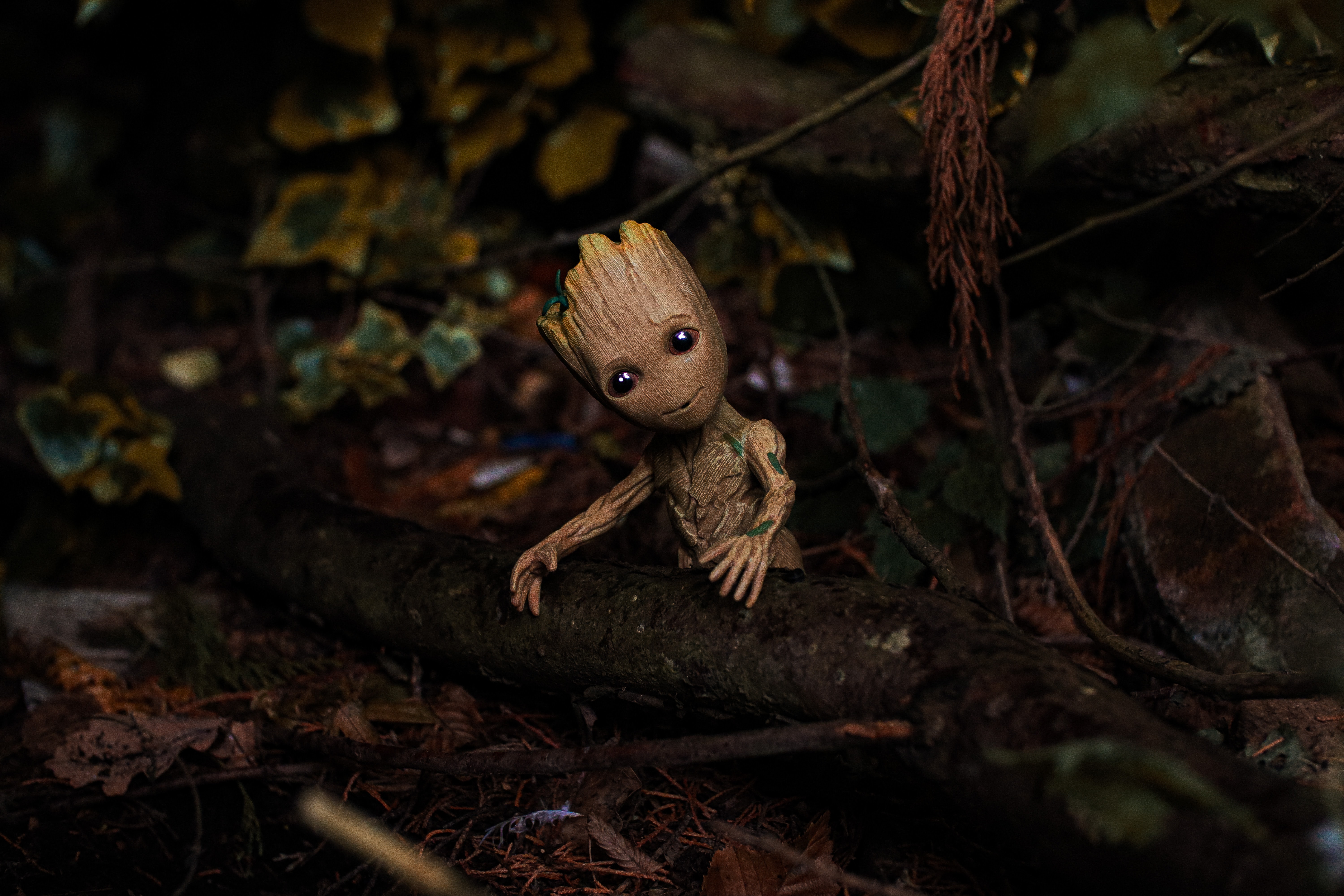 Groot